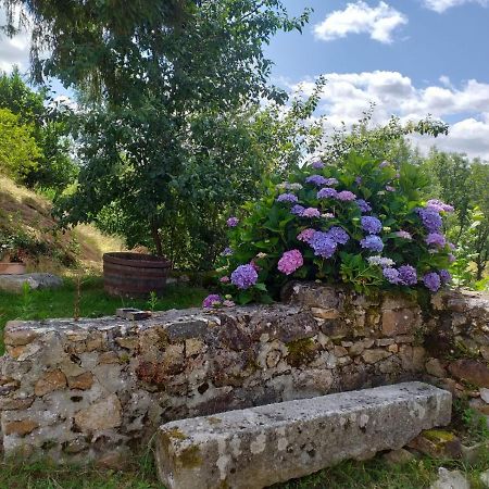 Gite Moulin De Ludieras Busserolles Luaran gambar