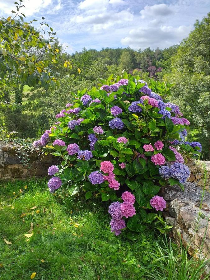Gite Moulin De Ludieras Busserolles Luaran gambar